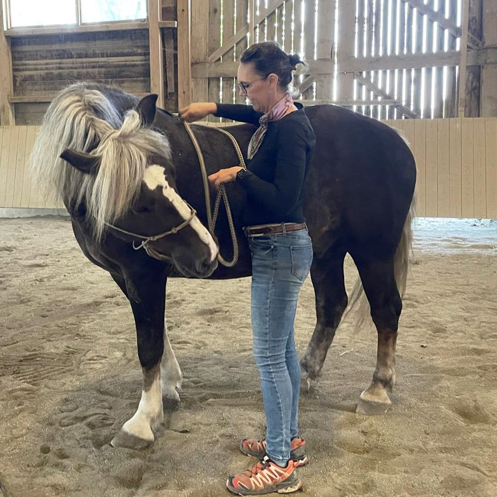 MKA Horsemanship, Bodenarbeit Kurse, Bad Wurzach